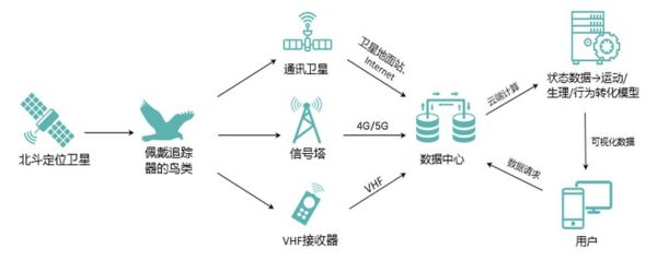 湖南环球信士科技有限公司,湖南野生动物追踪,湖南卫星追踪器,湖南追踪器