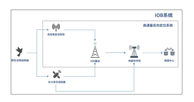 湖南环球信士科技有限公司,湖南野生动物追踪,湖南卫星追踪器,湖南追踪器 湖南环球信士科技有限公司,湖南野生动物追踪,湖南卫星追踪器,湖南追踪器