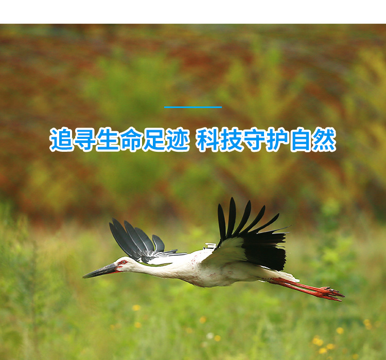湖南环球信士科技有限公司_湖南野生动物追踪|湖南卫星追踪器
